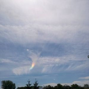 Meet your Posher, Ina